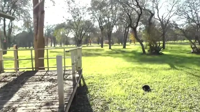 Велосипедистка Отсосала Парню в Общественном Парке